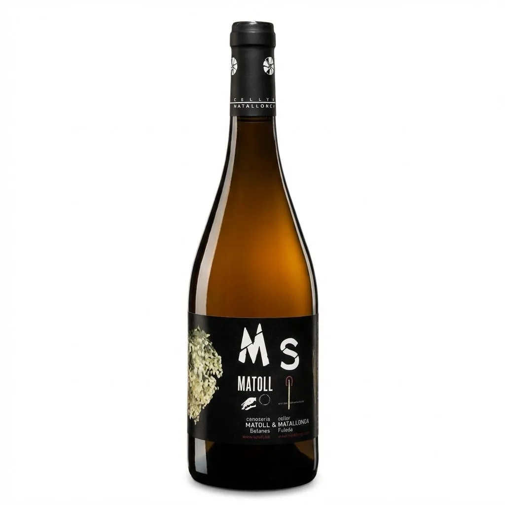 MS Matallonga Blanc amb Saüc — Frontal